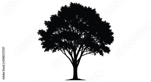 Foto Black silhouette of a leafy tree against a white background