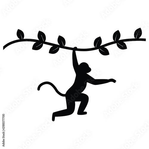Photography Playful monkey silhouette hanging from a tree vine branch isolated on white back