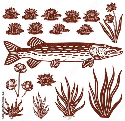 linocut style elements set: pike, water lilies, and seaweed
