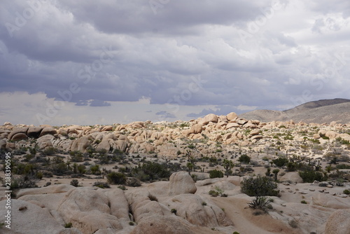 Rock landscape panorama of Joshua Tree National Park, California, with the Mojave Desert and landmark granite rock formations