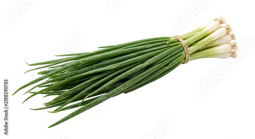 Canvastavla Fresh bunch of green onions tied with natural twine on a white background