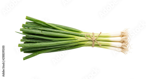 Foto Fresh bunch of green onions tied with twine on a white background
