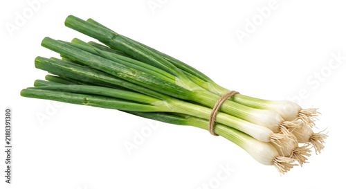 Konstfotografi Fresh green onions tied with twine, ready for culinary use