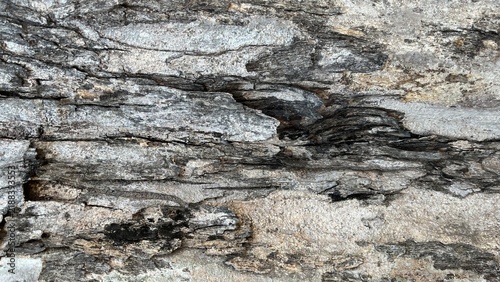Quadro su tela Abstract rustic wooden texture background with rough surface