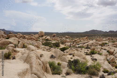 Joshua Tree National Park, California, landscape panorama: Granite rock formations, mountains, valleys, and the Mojave Desert