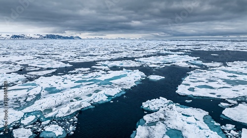 An aerial view of the vast Arctic sea ice, with chunks of ice floating in the dark blue ocean under a cloudy sky