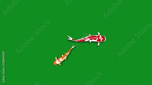 Two colorful cartoon koi fish swimming isolated green