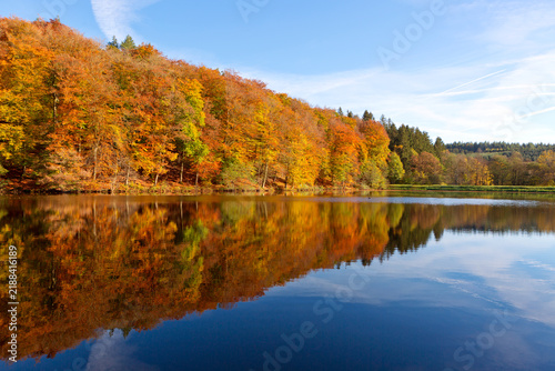 Fall panoramic forest in the lake with reflection.