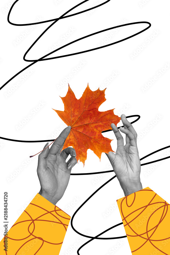 Obraz premium Composite trend artwork 3D sketch image photo collage of monochrome two huge hand hold maple leave nature autumn season line doodle