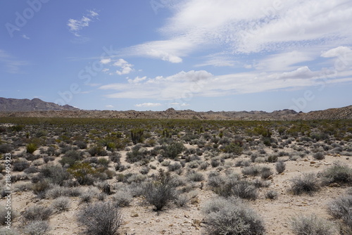 Scenic landscape panorama of Joshua Tree National Park, California, with bushes of desert shrubs and mountains