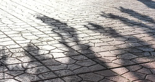 Shadows on Paving Stones: Long, abstract shadows cast by unseen foliage stretch across a textured surface of interlocking paving stones, creating a geometric play of light and dark.