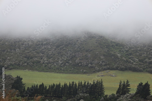 misty, rolling rural landscape, green fields, dark conifer forest (wide-angle, panorama, heavy-overcast, moody, morning) 6433