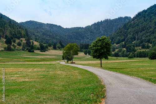 Obraz na płótnie Wanderweg durch das Menzenschwander Tal