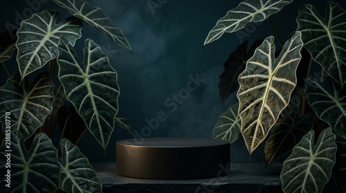 Dark podium surrounded by lush green tropical plant leaves nature backdrop