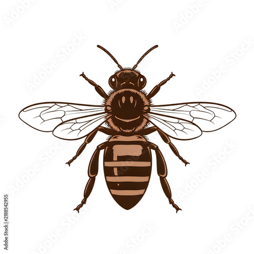 Cartoon bee flying with yellow and black stripes