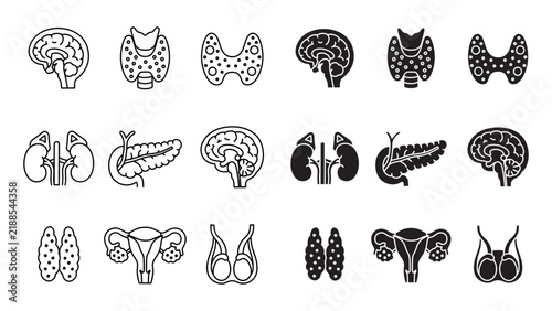 Foto Endocrine anatomy outline and solid icon set