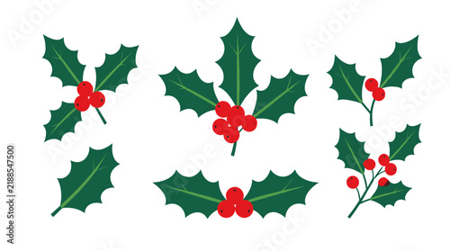 Holly leaves and berries for Christmas decoration