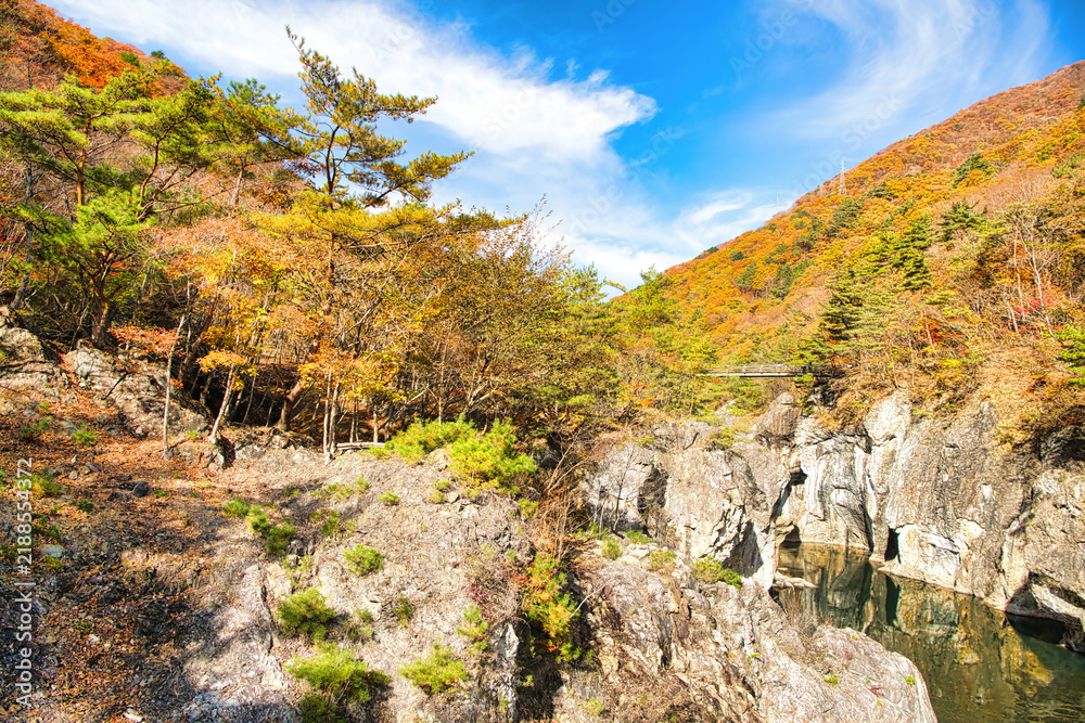 Fototapeta premium 栃木県日光市 秋の紅葉に染まる龍王峡を流れる鬼怒川