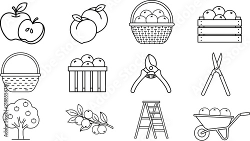 Obraz na plátně Collection of garden tools and fresh fruit illustrations featuring apples peache