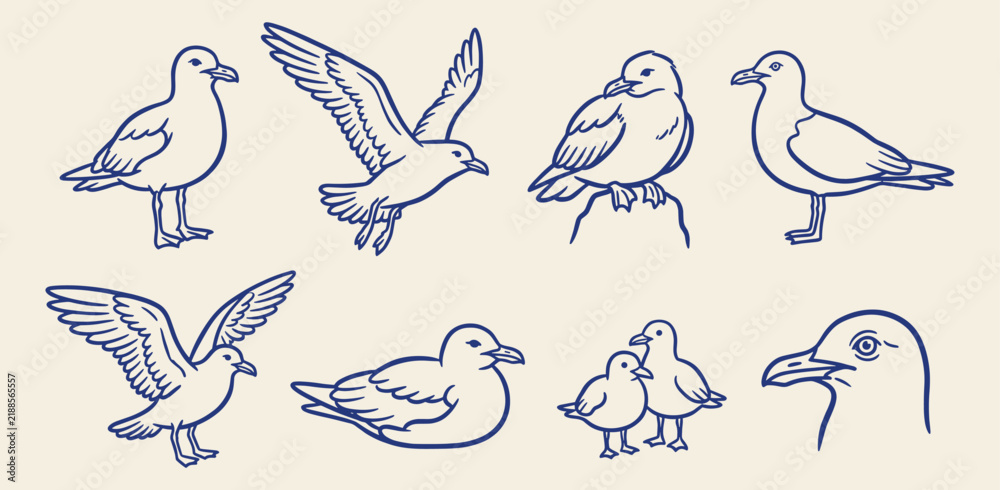 Fototapeta premium Hand drawn blue line vector set of seagulls, flying sea birds, standing gulls, chicks, and head portrait doodles