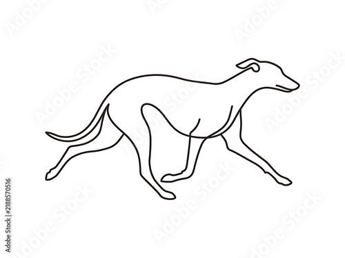 Plakat Running greyhound dog minimalist continuous one line art vector illustration