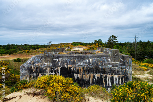 Foto A large weathered concrete military bunker surrounded by yellow flowering gorse bushes in a natural landscape under a cloudy sky at Tirpitz Museum area