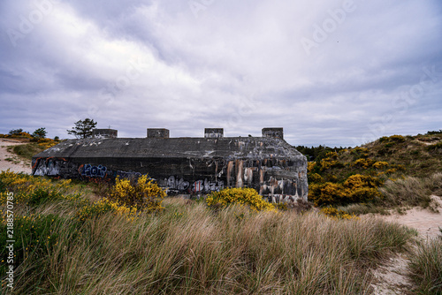 фотографія A large weathered concrete military bunker surrounded by yellow flowering gorse bushes in a natural landscape under a cloudy sky at Tirpitz Museum area