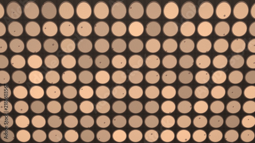 Bild auf Leinwand Abstract Geometric Pattern of Circles