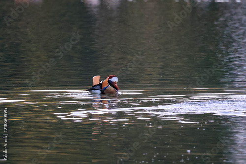 man on the lake
