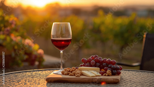Red wine glass with cheese platter vineyard