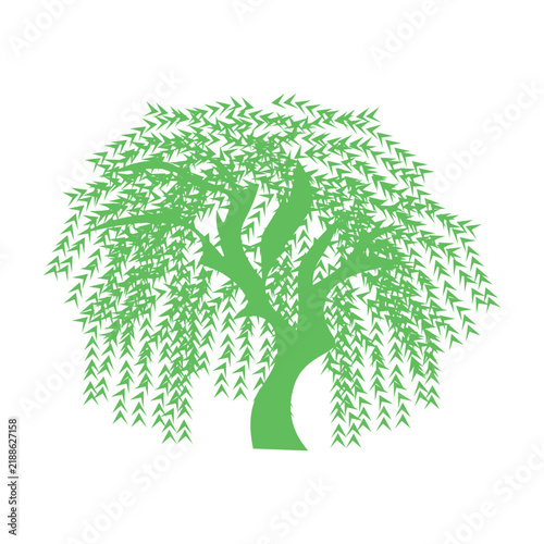Green Willow Tree Graphic Illustration