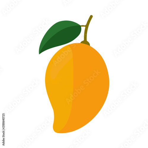 Mango, illustrated as a clean 2D flat vector icon isolated on a white background