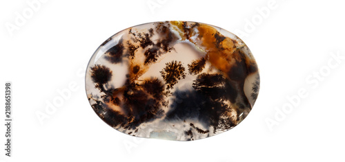 Obraz na plátne Polished moss agate gemstone with dendritic tree-like inclusions