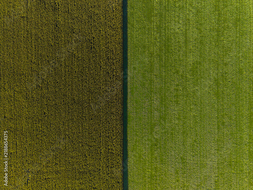 Quadro su tela Aerial shot of two adjacent fields