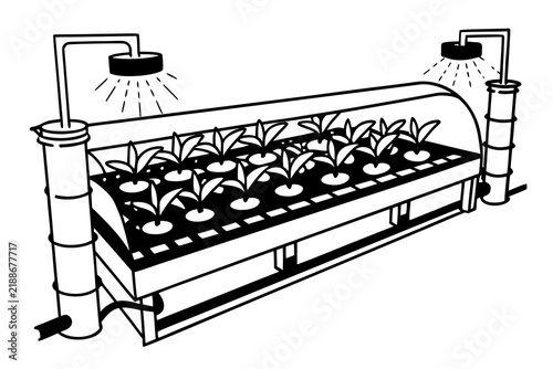 Hydroponic farming system growing leafy greens indoors