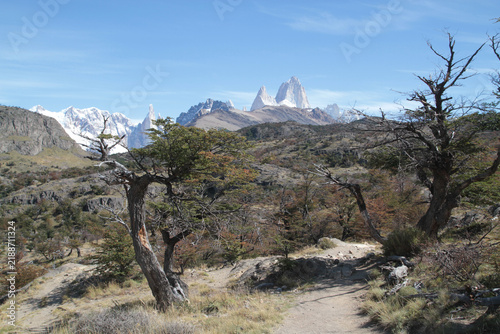Canvastavla Hiking trail through lenga forest with Fitz Roy massif in distance, Los Glaciare