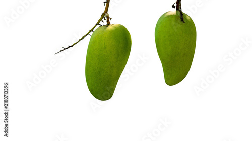 фотографія Two green mangoes hanging from tree branch with green mango tropical fruit raw m