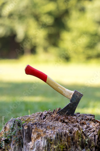 Fotografie An red axe stuck in a wooden chopping block at sunset