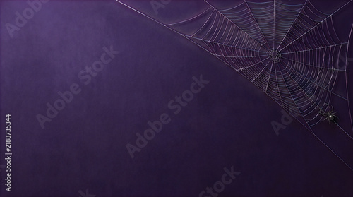 Spider web on dark evening background