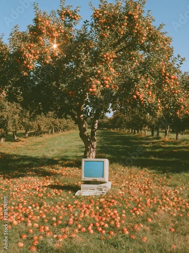Vintage CRT computer monitor sitting on the ground in an apple orchard at sunset