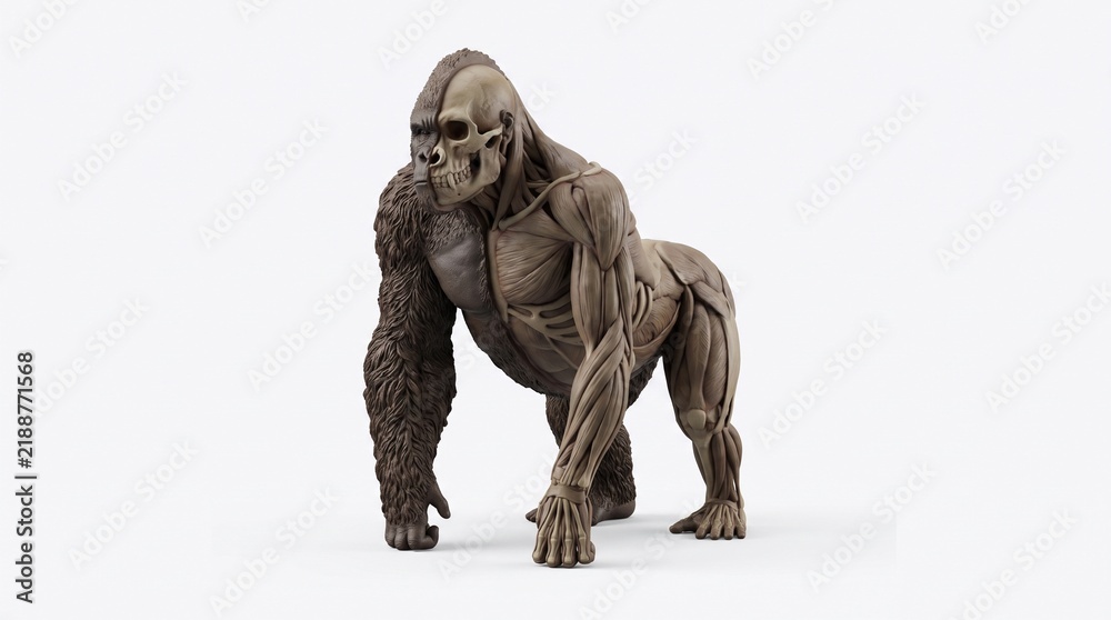 Fototapeta premium Gorilla standing in studio with neutral background for wildlife or nature themes