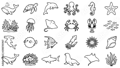 Photography Set of simple black line icons depicting various sea animals and ocean life crea