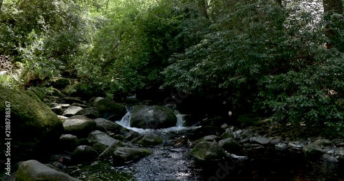 Woodland waterfall surrounded by mossy rocks in Ireland