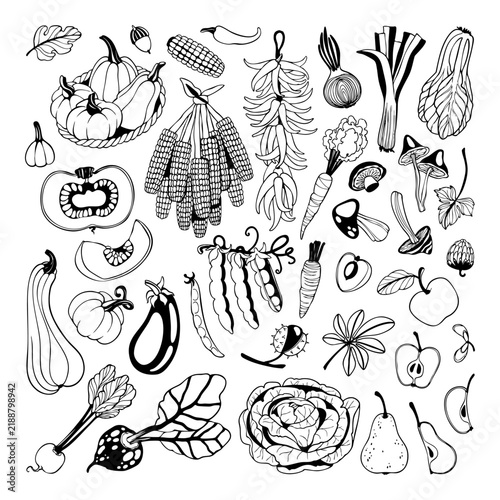 Black and White Autumn Harvest Vegetable Crop Set.