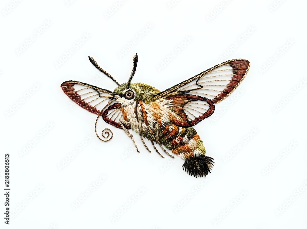 Obraz premium Detailed embroidery style hummingbird moth illustration with intricate stitched wings, isolated on white background