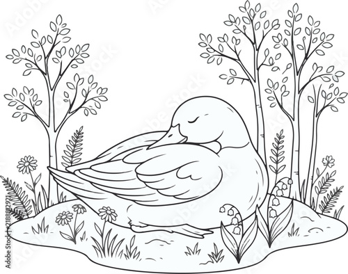 Fotografie Detailed coloring page of a sleeping duck resting in a nature garden with trees