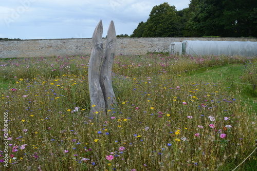 Flower meadow at Brodie Castle, near Elgin, Scotland