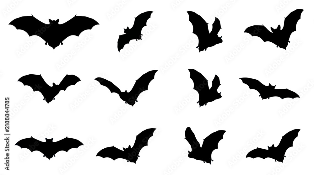 Obraz premium Set of black bat silhouettes in various flying poses isolated on white background.