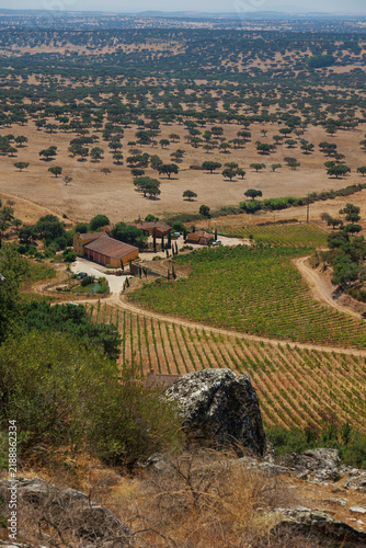 Panoramic view over a traditional Alentejo rural landscape, with vineyards, scattered cork oak trees, agricultural fields and a small farm surrounded by rolling countryside. Portugal's Mediterranean