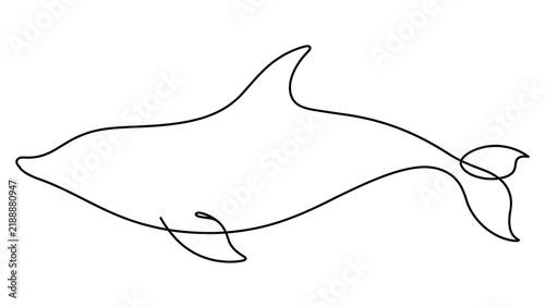 Dolphin swimming white background.